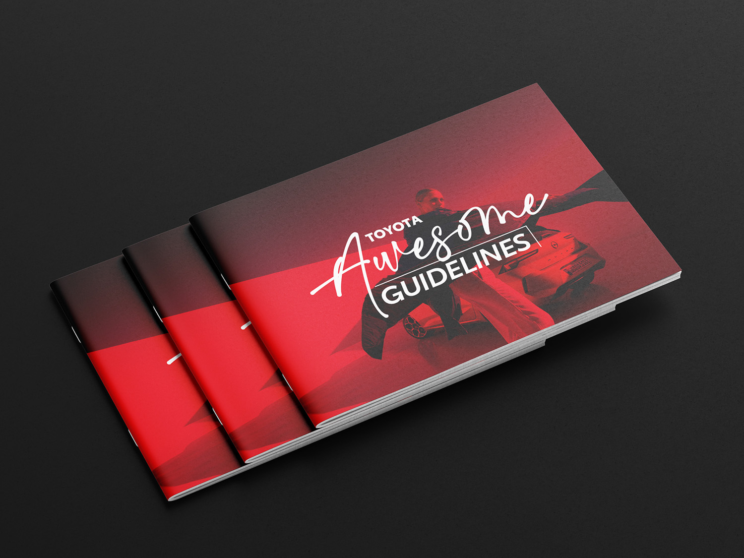 Guidelines mockup