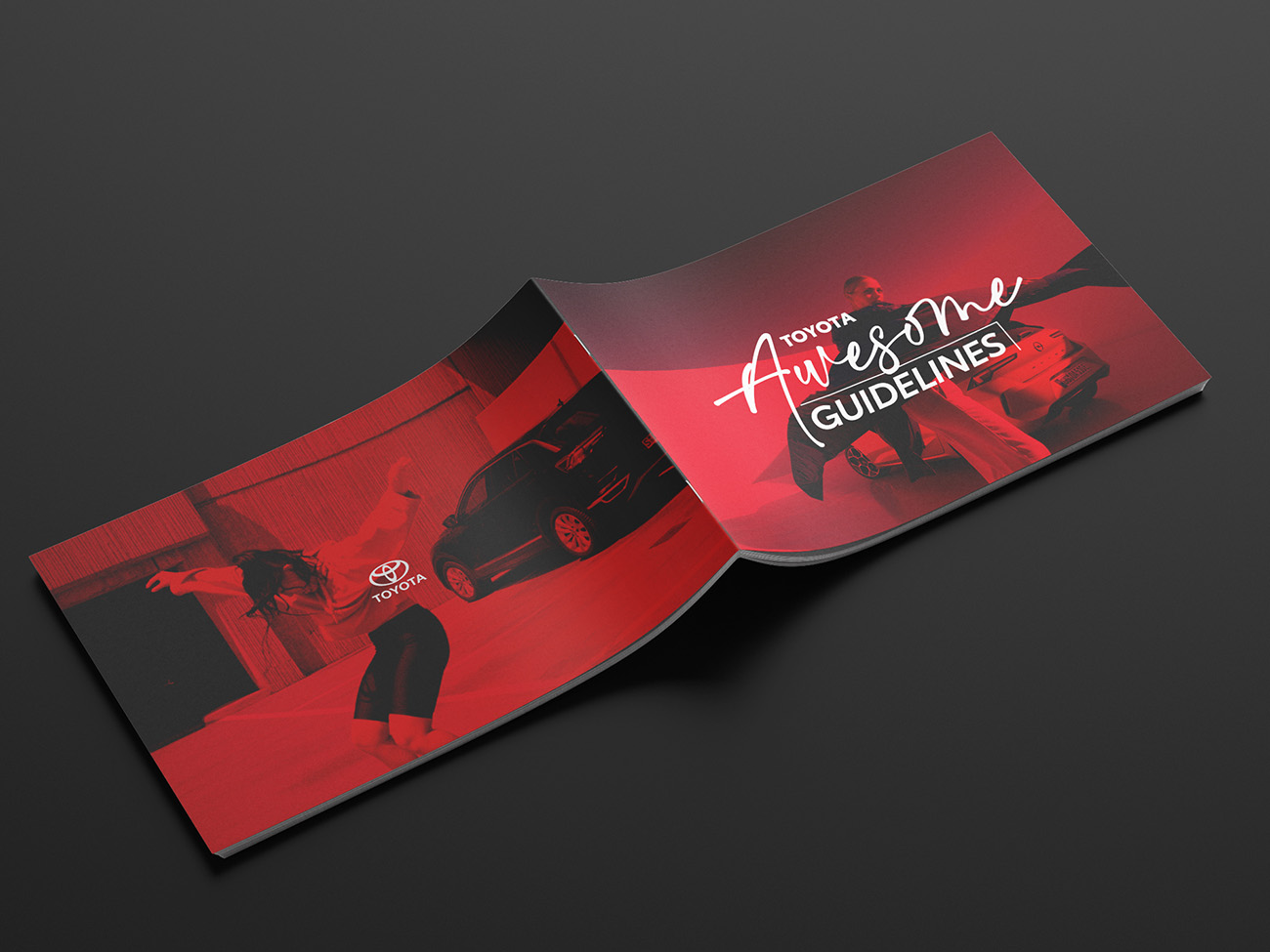 Guidelines mockup