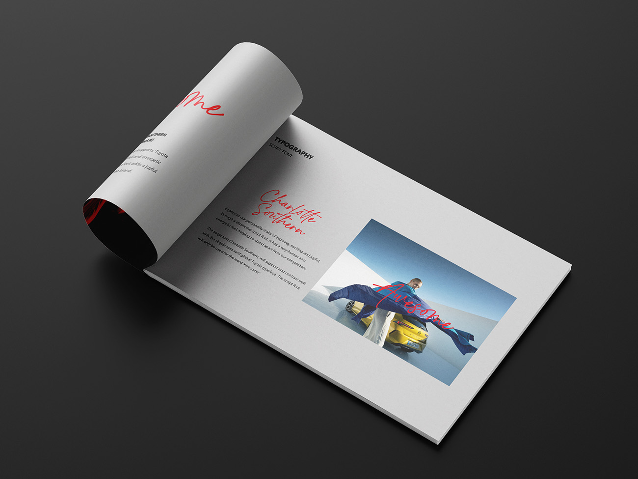 Guidelines mockup