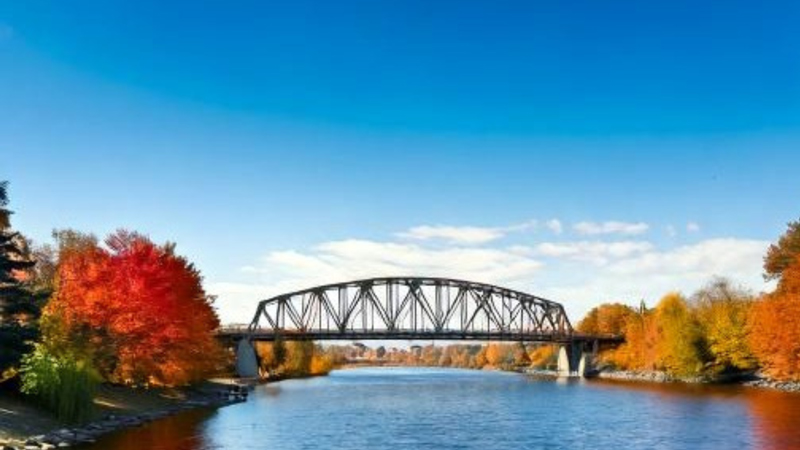 Low angle, showcasing the massive Alexandra bridge from
far.