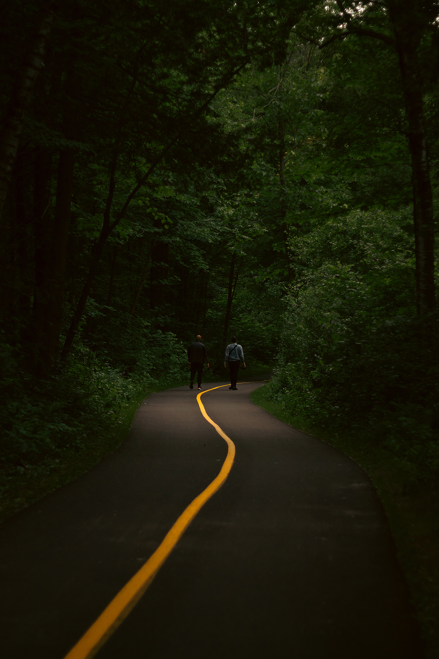Friends walking along path