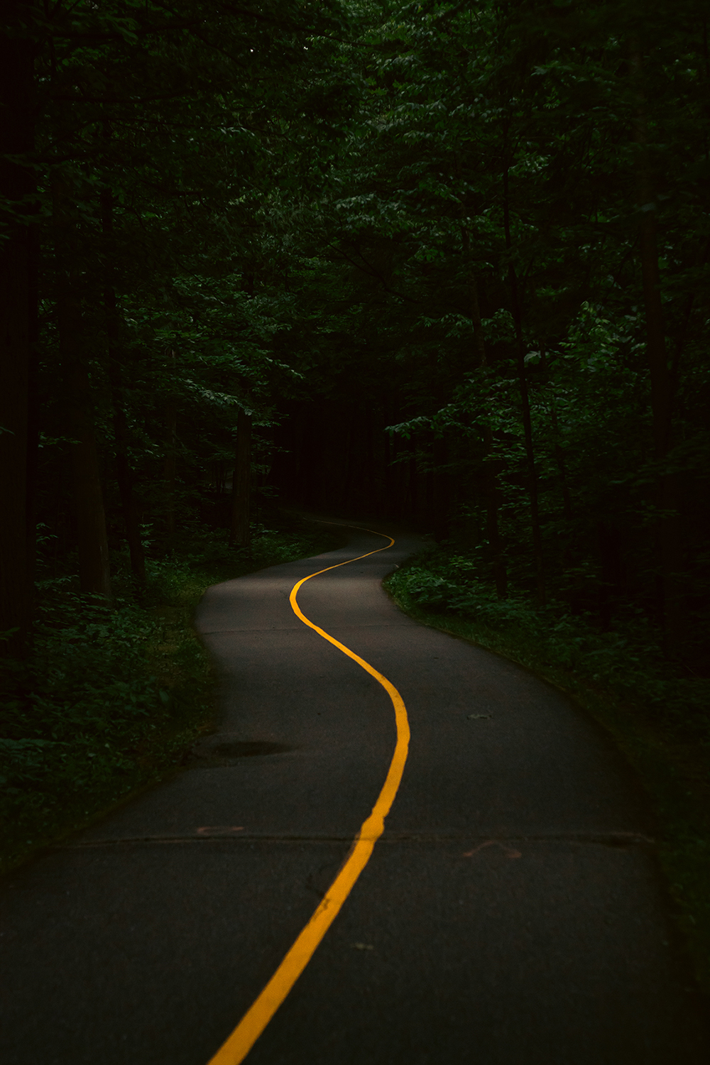 Pathway