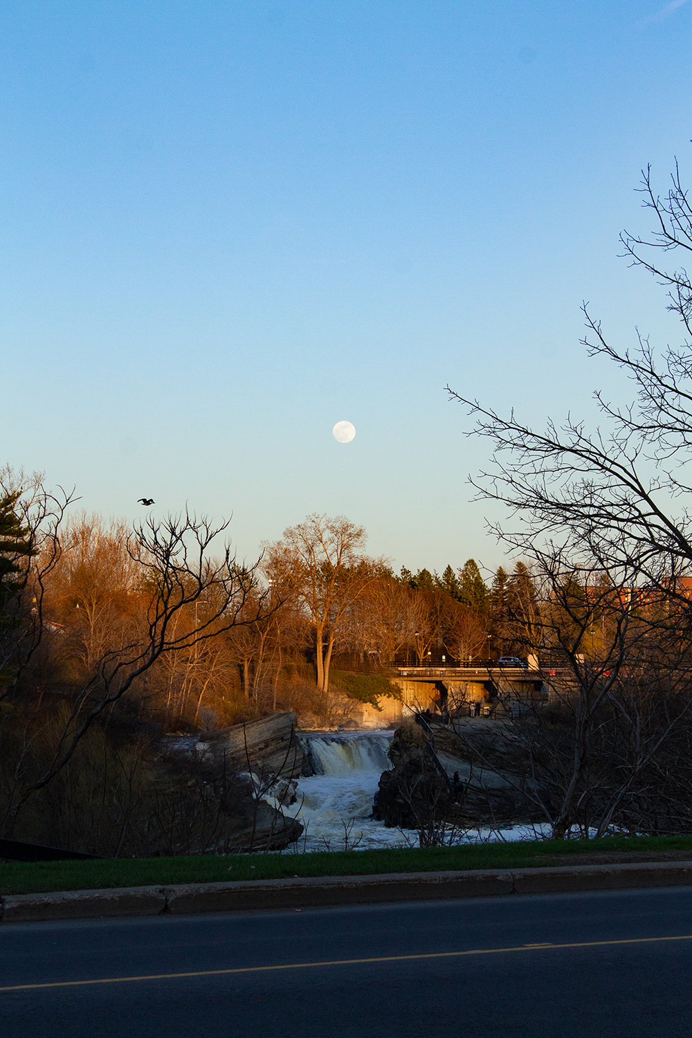 Hog's Back Falls from across the road